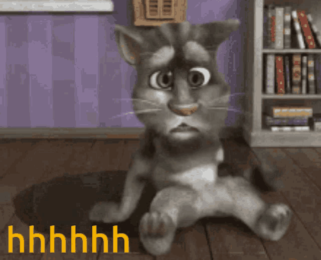 a cartoon cat is sitting on the floor with a bookshelf in the background and the word hhhh on the bottom