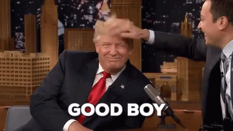 Good Boy Donald Trump GIF - Good Boy Donald Trump Petting GIFs