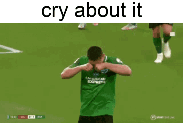a soccer player in a green jersey is crying on a field .
