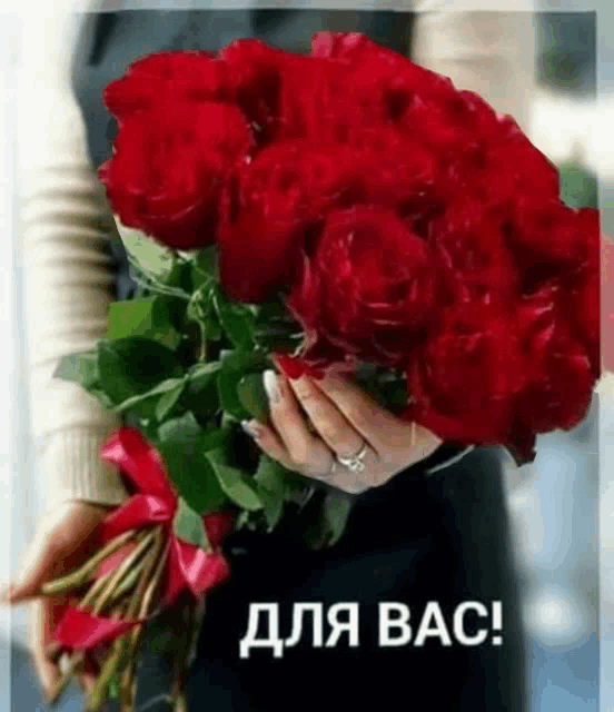 a woman is holding a large bouquet of red roses with the words " для вас " on the bottom