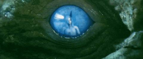 a close up of a dragon 's eye with a blue pupil