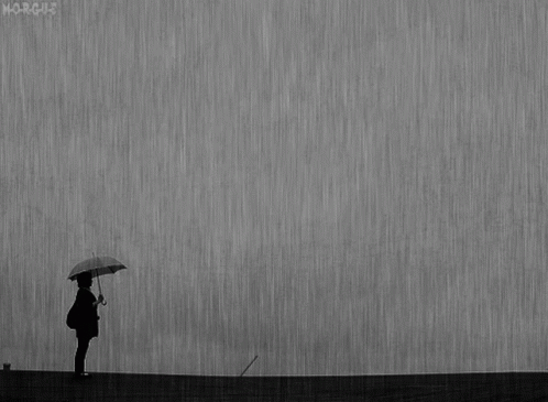 Rainy Day Rain GIF - Rainy Day Rain Umbrella GIFs