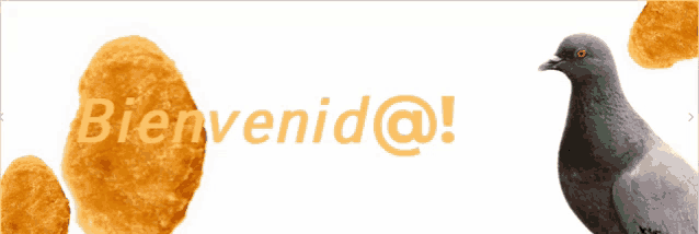a pigeon standing in front of a sign that says bienvenid @