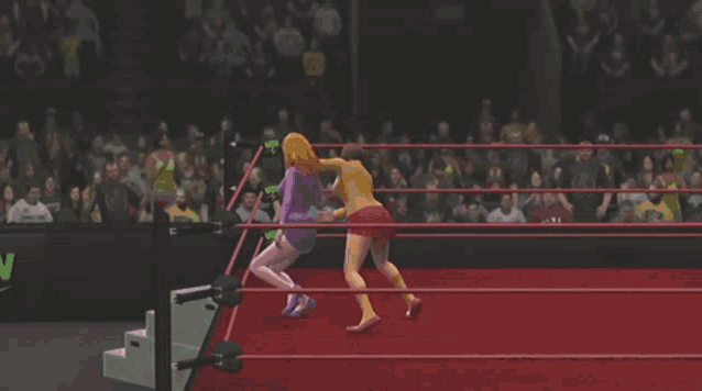 scooby doo and scooby doo are wrestling in a ring
