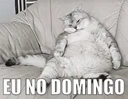 Eu No Domingo Gato Cheio Estufado Comi Demais GIF - Fat Cat GIFs