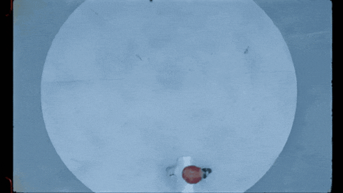 a person in a red hat is standing in a blue circle