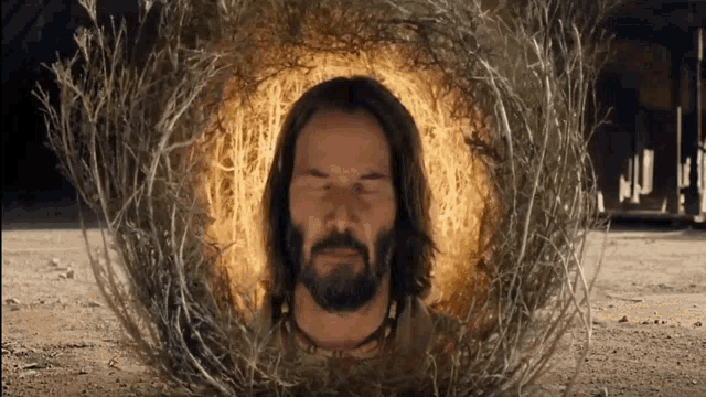 a man with long hair and a beard is surrounded by a circle of branches