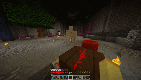 a screenshot of a minecraft game shows a man standing next to a red block
