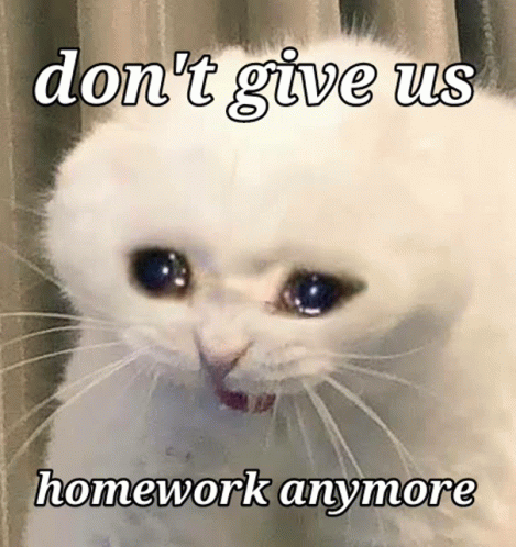 Homework Crying Cat GIF - Homework Crying Cat GIFs