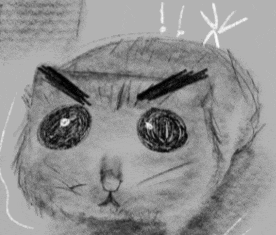 a black and white drawing of a cat with an angry expression on its face