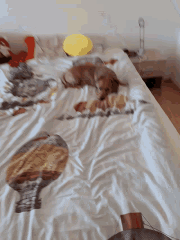 a dog is laying on a bed with a blanket that has a bottle on it
