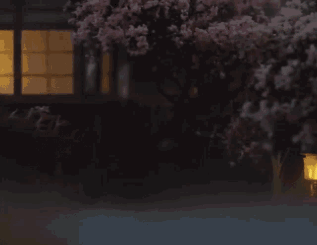 a tree with pink flowers is in front of a building at night