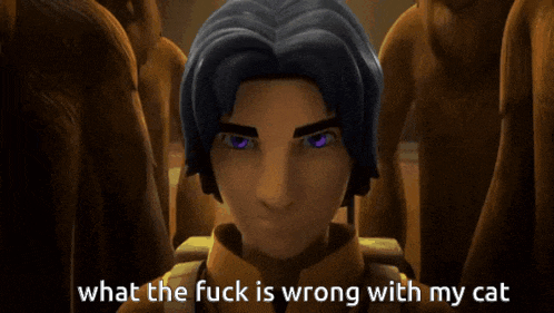 a cartoon character with purple eyes and the words what the fuck is wrong with my cat