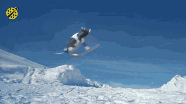 a ladybug is flying over a snowy mountain with a snowboarder