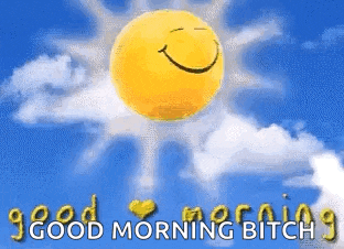 a picture of a sun with a smiley face and the words `` good morning bitch '' .