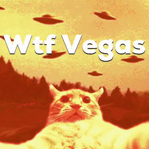 Cat Selfie GIF - Cat Selfie Aliens GIFs