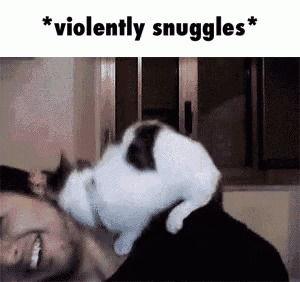 a cat is laying on a man 's shoulder and licking him .