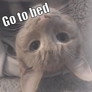 Go To Sleep Bed GIF - Go To Sleep Bed Bedtime GIFs