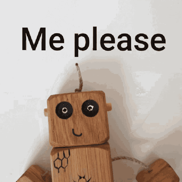 a wooden robot with the words me please written on it