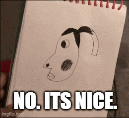 a person is holding a drawing of a dog with the words no its nice below it
