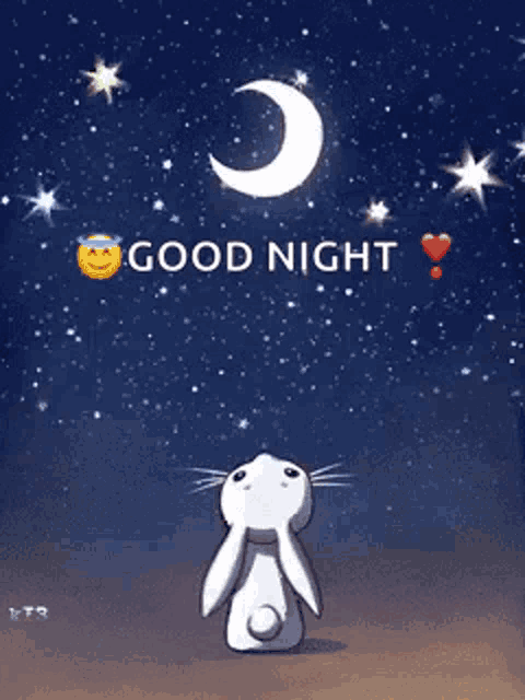 a picture of a rabbit looking up at the moon with the words good night