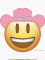a yellow smiley face wearing a pink cowboy hat .