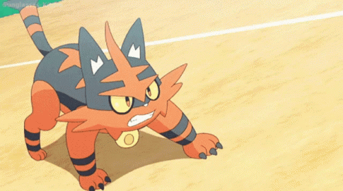 Pokémon Torracat Torracat GIF - Pokémon Torracat Torracat Flame Charge GIFs