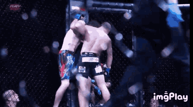 two men are fighting in a boxing ring with a gif that says imgplay