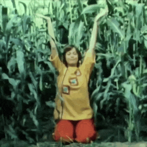 a woman in a yellow shirt is kneeling in a corn field with her arms outstretched