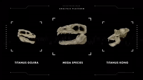 Godzilla Kong GIF - Godzilla Kong Skull GIFs