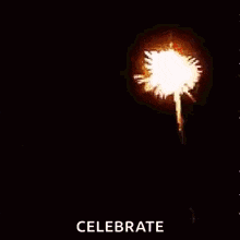 a fireworks display with the words celebrate in the corner .