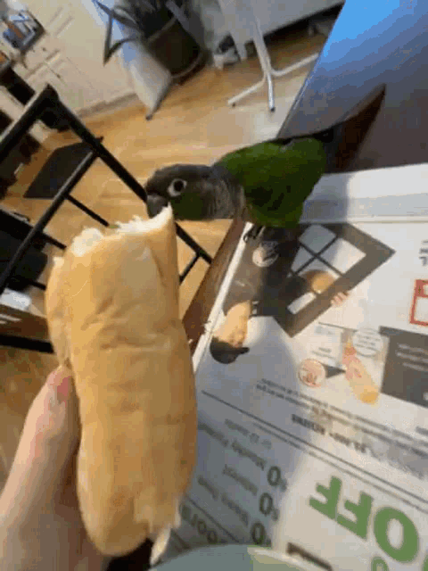 Parrot Dog GIF - Parrot Dog Sandwich GIFs