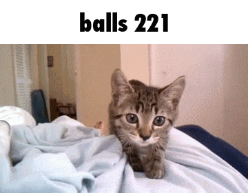 a kitten is laying on a person 's lap with the words " balls 221 " above it