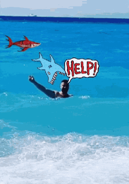 a man is swimming in the ocean with a shark and a help speech bubble above him