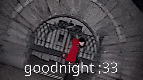 a person in a red jacket is standing in front of a gate with the words " goodnight 33 " on the bottom
