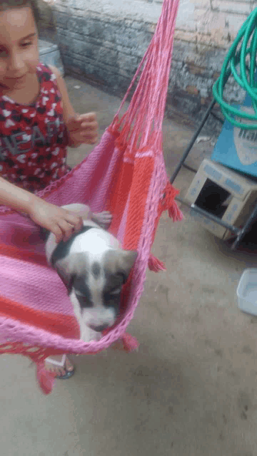 a little girl holds a puppy in a pink hammock with a box of itala behind her