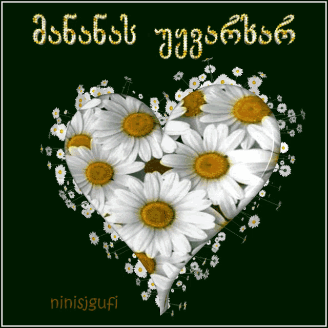 a heart made of daisies with the name ninisigufi on the bottom right