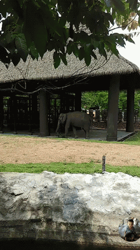 a statue of an elephant standing in front of a thatched building