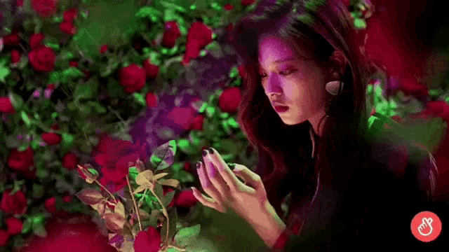 a woman is standing in a field of roses holding a flower .