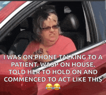 a woman in a red car talking on the phone