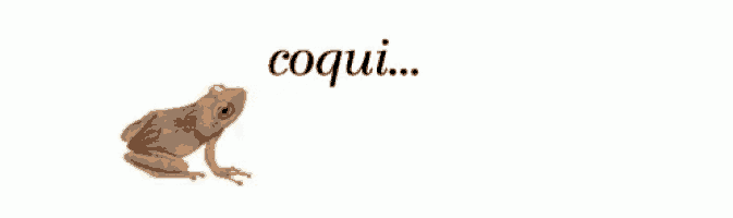 a picture of a frog and the word coqui