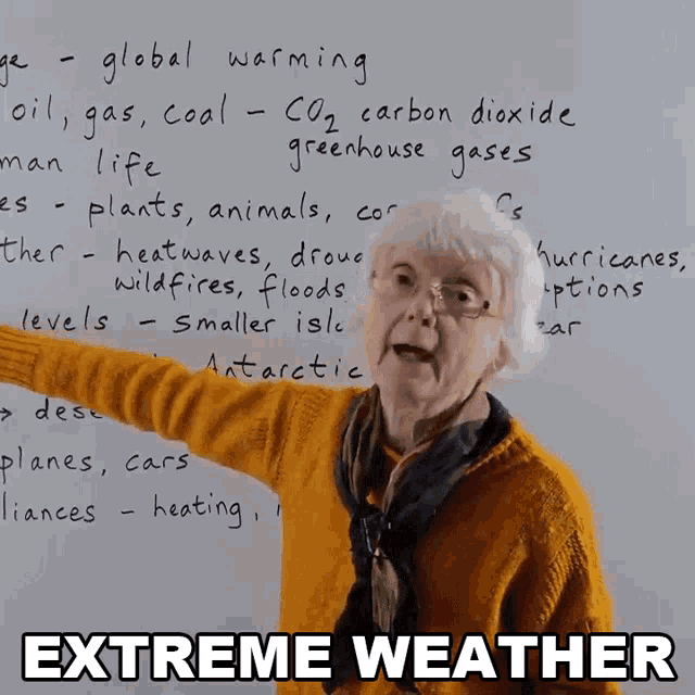 Extreme Weather Gill GIF - Extreme Weather Gill Engvid GIFs