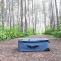 Dog Suitcase GIF - Dog Suitcase Hide GIFs