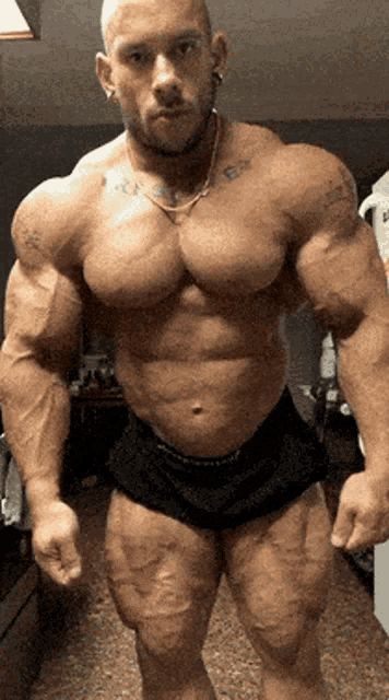 Shawn Bodybuilder GIF