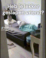 a dog is standing on a bed with the words heb je lekker geslapen vriend written above it
