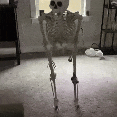 a skeleton is standing on its hind legs in a living room .