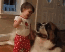 a little girl standing next to a large dog in a room .