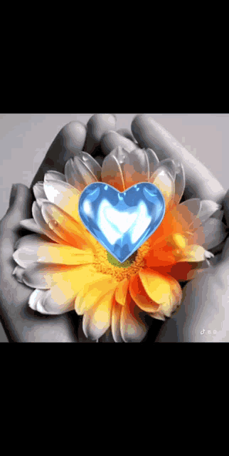 a person is holding a flower with a heart in the center