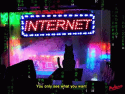 You Only See What You Want Cat GIF - You Only See What You Want Cat Flashing Lights GIFs