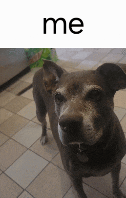 a dog is standing on a tiled floor with the word me behind it